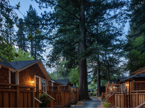 Dawn Ranch
